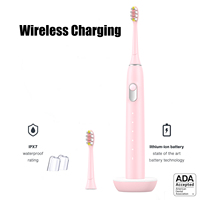 Brosse à dents électrique sonique OEM, Rechargeable IPX7, étanche, électronique, blanchiment des dents, minuterie pour adulte