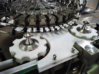 Machine de remplissage automatique de fiole de liquide d'huile de remplissage linéaire de bouteille de haute précision de 12 têtes