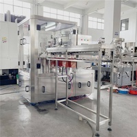 Machine de remplissage autoportante de sac de vente directe d'usine pour les boissons de lait de soja de jus de vinaigrette pour des applications chimiques PLC
