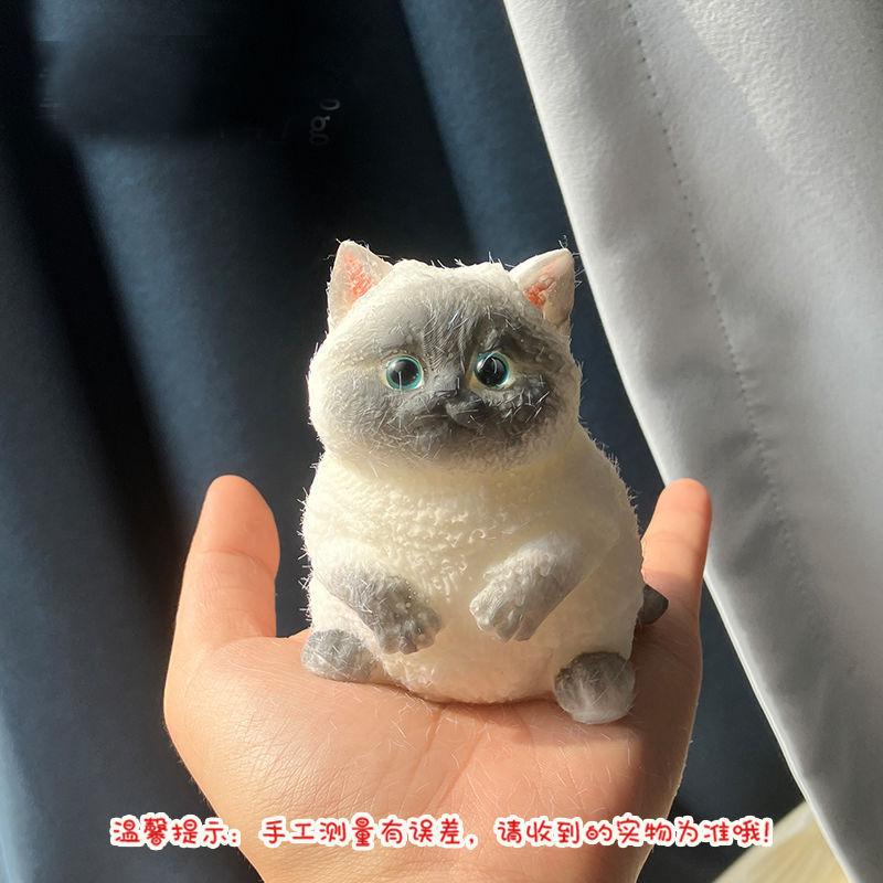 Siamese cat