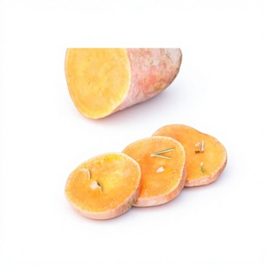 Bon prix pour les patates douces surgelées - VENTE FLASH - Patates douces surgelées IQF - Patates douces surgelées de haute qualité - Product Image 1