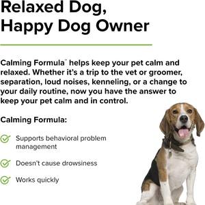 Nutrition calmante pour chiens, soulagement de l'anxiété des chiens pour les visites chez le vétérinaire, les voyages, fabricant super OEM - Product Image 4