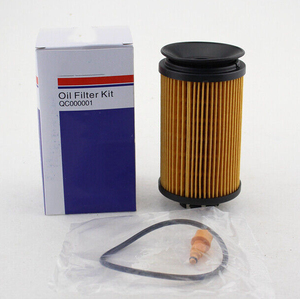 Elemento de Filtro de Aceite para Motor de Automóvil/Camión QC000001 15208HJ00A O362 EO-10060 FOH70012 OE23010 - Product Image 5