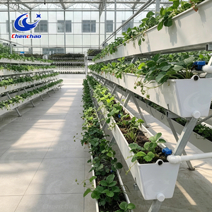 High Yield Greenhouse Vertical Hydroponic System A-Frame Strawberry Gutter System PVC <strong>Planting</strong> <strong>Trough</strong> for <strong>Large</strong> Scale Farm - Product Image 2