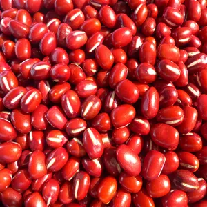 Organische Adzuki Bean Organische Kleine Rode Bonen Biologische Azuki Bean