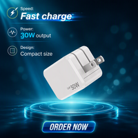 NIUBAILE Chargeur rapide Type-C 30W PD3.1/PD3.0 FCP pliable, respectueux de l'environnement, en ABS/matériau ignifuge, protection OVP/OCP, câble USB
