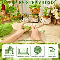 Ensemble de poupées en crochet de coton faites à la main pour plantes en pot, adorables amigurumi cactus et succulentes en panier suspendu, écologiques et imperméables