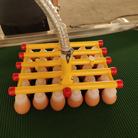 Machine à aspirer les œufs pour élevages avicoles, équipement portable de manutention des œufs pour la ligne de tri et d'emballage des œufs
