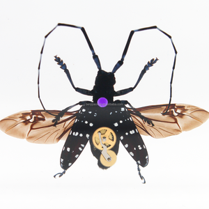 Réel spécimen d'<span class=keywords><strong>araignée</strong></span> Insecte séché en résine Lucite résine Presse-papiers taxidermie Réel animal insecte spécimen biologique - Product Image 1