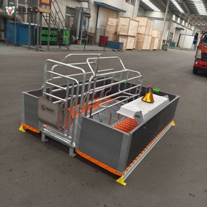 Cage <span class=keywords><strong>de</strong></span> mise bas robuste pour truies, enclos <span class=keywords><strong>de</strong></span> mise bas, structure galvanisée, panneaux en PVC, plancher à lattes, équipement d'élevage porcin - Product Image 2