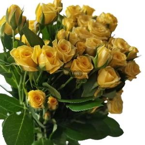 Vente en gros de petites roses en soie faites à la main multi-têtes Shandong lot direct décrochage de mariage noël saint valentin graduation <span class=keywords><strong>Halloween</strong></span> - Product Image 5