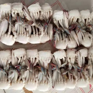 Thịt Cua Đông Lạnh Hải Sản Đông Lạnh - Product Image 4