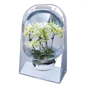 Grande boîte à semis en polyéthylène <span class=keywords><strong>transparent</strong></span> PET Polyhedron AD-HDL3 haut de gamme pour plantes en <span class=keywords><strong>pot</strong></span>, pour l'agriculture, fabriquée en Chine - Product Image 1
