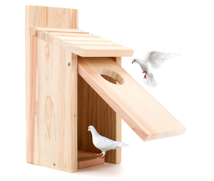 Nichoir à oiseaux en bois non fini pour l'extérieur, artisanat pour enfants, liquidation - Product Image 3
