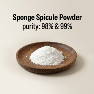 Éponge à spicules <span class=keywords><strong>bio</strong></span> pour microneedling, très vendue, 98%99% poudre de spicules d'éponge - Product Image 1