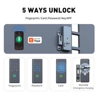 Cerradura Inteligente para Puerta de Vidrio Tuya con Control Remoto, Tarjeta de Memoria, Wi-Fi, Huella Dactilar y Control de Acceso con Tarjeta, Cerradura de Doble Cara