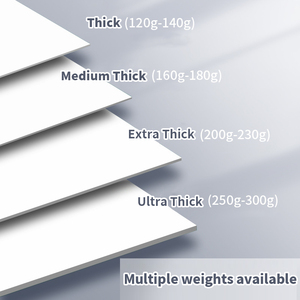 Quality Bulk Eco Pulp Coated Ivory Board C2S Coated 300gsm White Cardboard Fitness Gear Packaging Duplex Board - Product Image 2