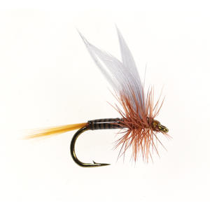 Señuelos de Pesca de Agua Dulce, Mosca Seca Flotante, Escarabajos de Espuma, Estimulador de Moscas, Paracaídas para Trucha, Caddis, Royal Wulff, Mayfly, <span class=keywords><strong>Cahill</strong></span> - Product Image 6