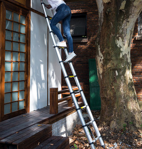 Thang Máy Kéo Dài Bằng Nhôm Thẳng Đơn Cho <span class=keywords><strong>Lidl</strong></span> - Product Image 5