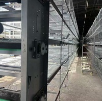 Système de cages vertical H entièrement automatique et galvanisé à chaud pour l'élevage de poules pondeuses en ferme avicole