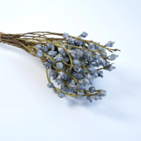 Expédition en lot de l'usine : Fruits d'eucalyptus séchés naturels pour la maison, les fêtes, les mariages, Noël, la Saint-Valentin – Écologiques et longue durée