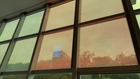 Sokakta Monte Edilebilir Şeffaf LED Ekran Soyulabilir Su Geçirmez Tam Renkli Esnek Film Panel Pencere Gösterimi İçin
