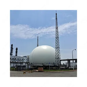 2022 CE Certify Double Membrane 10000m3 Biogas Storage Tank biogas filter desulfurization cryogenic computer control system