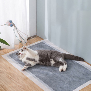 Almohadillas de Entrenamiento para Cachorros Desechables de Alta Absorbencia, Almohadillas de Carbón de Bambú para Perros - Product Image 6