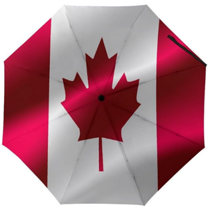 Parapluie compact de <span class=keywords><strong>voyage</strong></span> 2026 Tournoi de football Drapeau national Parapluie automatique portable léger coupe-vent - Product Image 3