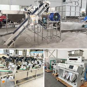 Máquina Peladora de Ajo y Clavo Weifang, Accionada por Cadena, Totalmente Automática, Línea Completa de Producción, Planta de Procesamiento - Product Image 2