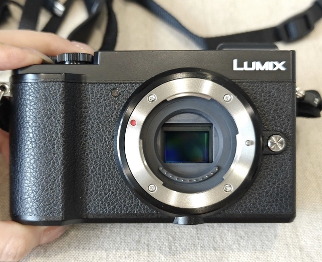 Used for Lumix GX9 Mirrorless Camera Micro Four Thirds 4K 2"-3" Screen Lithium Battery Second Hand