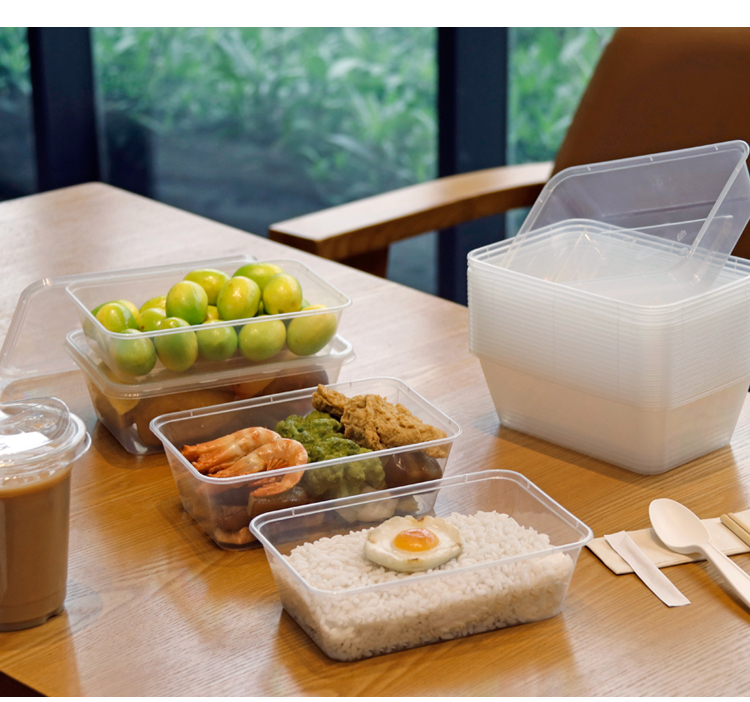 Disposable Take Away PP Food Container