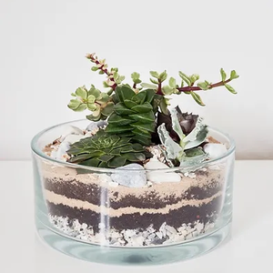 OEM bocal <span class=keywords><strong>en</strong></span> <span class=keywords><strong>verre</strong></span> de forme personnalisée pour terrarium design moderne décoration de la maison plantes succulentes vase <span class=keywords><strong>suspendu</strong></span> kits de terrarium - Product Image 5