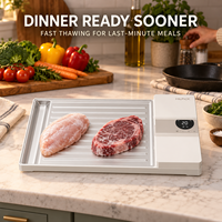 Vente en gros de machine de dégivrage rapide à ventilateur turbo pour viande volaille outil de décongélation de poulet pour appareils de cuisine
