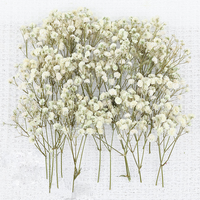 50pcs Kotak Premium Ranting Gypsophila Kering Alami untuk Seni Bunga DIY Karangan Bunga Dekorasi Pesta