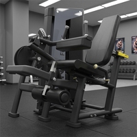 Machine d'extension/curl des jambes - Construction en acier, pile de poids de 70 kg pour l'entraînement de force et la musculation