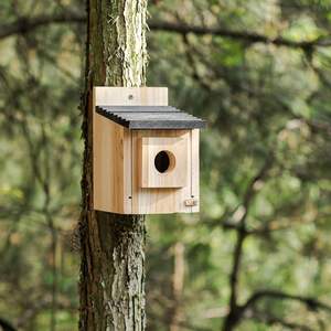 Vente chaude en bois Bluebird House suspendu maison d'oiseau pour l'extérieur prédateur garde perroquet oiseau nichoir nichoir - Product Image 4