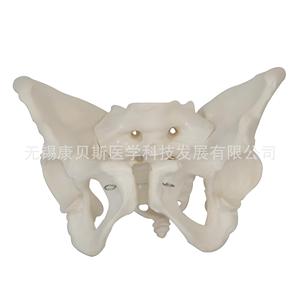 KBS/XC124 - Product Image 3