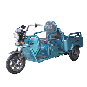 <span class=keywords><strong>Tricycle</strong></span> électrique FGQ à vendre, <span class=keywords><strong>tricycle</strong></span> à double usage à carrosserie ouverte <span class=keywords><strong>pour</strong></span> <span class=keywords><strong>personnes</strong></span> <span class=keywords><strong>handicapées</strong></span> avec moteur de 900W et vitesse de 35 km/h - Product Image 3