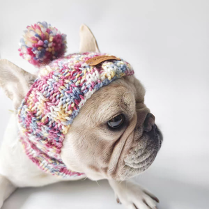 उच्च अंत वाले दैनिक पहनने वाली पेटशॉप डिजाइनर छोटे कुत्ते के कपड़े वसंत गर्मियों कुत्ते स्वेटर पेटको - Product Image 3