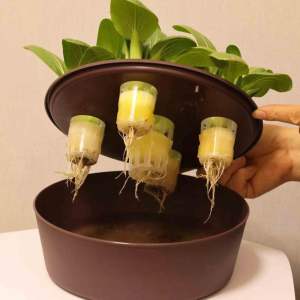 Sistema di Auto-Irrigazione per Piante in Vaso con Sensore di Umidità e Aspirazione Automatica dell'Acqua, Ideale per Casa, Ufficio, Giardino, Cortile - Product Image 4