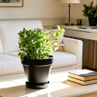 Pot de fleurs nordique pour la décoration de la maison, vente en gros, pots de plantes durables, design simple, jardinières légères, pots de fleurs élégants en plastique