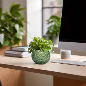 Maceta de Cerámica Verde Oliva Degradado con Orificio de Drenaje, Autorriego, Ligera (3 kg), Diseño Moderno para Uso Interior/Exterior - Product Image 3