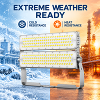 Projecteur LED modulaire étanche IP67 500W 600W avec garantie de 3 ans, éclairage extérieur pour stades, éclairage de tunnel LED