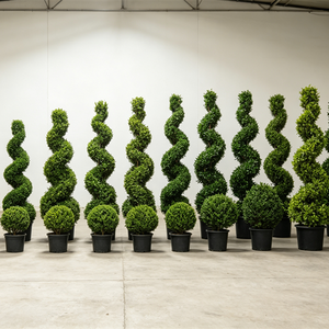 Arbre artificiel en buis en spirale en gros, plante artificielle torsadée en pot pour projets d'aménagement paysager de villas, hôtels, halls d'entrée et centres commerciaux - Product Image 1