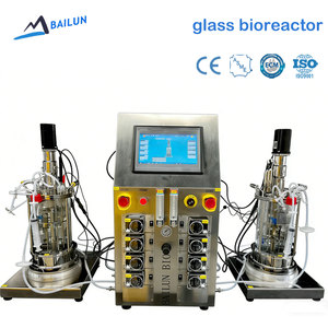 Ginseng Root Culture Bioreactor 5L 10L Jacketed Stirred Tank Fermenter with Price for Saponins Production Temporary Immersion - Product Image 1