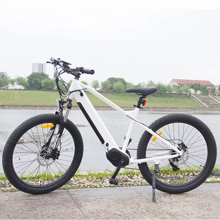 48V500W 750W mitte antrieb motor Elektrische City-Bike E-Bike Pedal Unterstützt Versteckte Batterie Elektrische Fahrrad