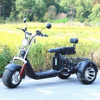 2000w 60v1 2ah/20ah batterie au lithium citycoco gros pneu cee scooters électriques trois roues moto tricycle tricycle tricycle