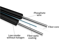 Cable de fibra óptica Ftth para exteriores, 1, 2 y 4 núcleos, Gjyxch