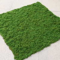 Tapis de mousse artificielle en polyester vert, écologique, pour aménagement paysager, jardin, maison, fournitures décoratives DIY, vente en gros